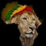 Natty Dread
