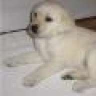 ***animaLLover***