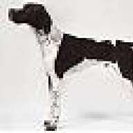 Nosler