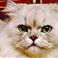katty