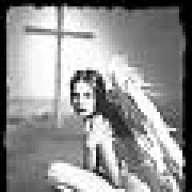evensis