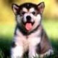 Aeryn