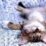 Asmodeus