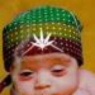 jasha25