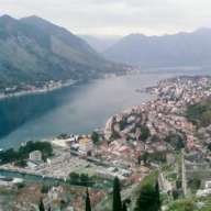 bokezica