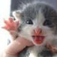 Mini-maus