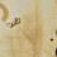 Aries34.7