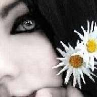 Daca_black