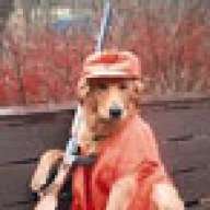 HUNTINGDOG