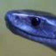 bio-spina
