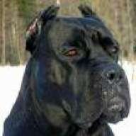 ketica04
