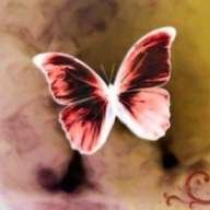 _Butterfly_princesS_