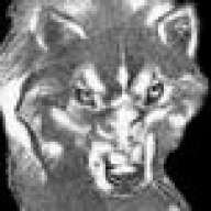 canis lupus