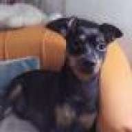 Jeca i Cezar