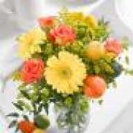 MashaT