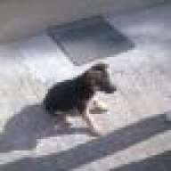 Raffa