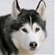 VALENTINA-BG