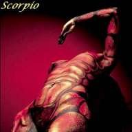black.scorpio