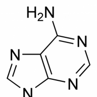 Chirilo