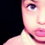 Sofka*