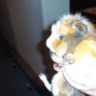Candy♥