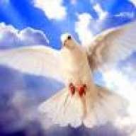 fenix.xy