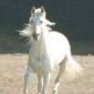 Shadowfax<3