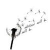 dandelion blower
