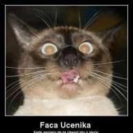 Problem?