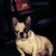 bubi2010