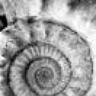 SpiralUniverse