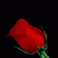Snaha
