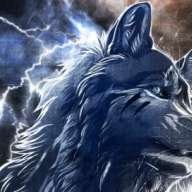 Wolf Ren