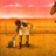 Pajara