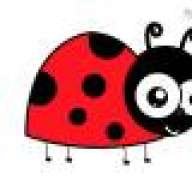 marvellousica