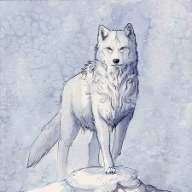 whitefoxx