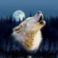 wolwes75