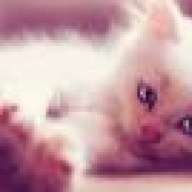 Adelia