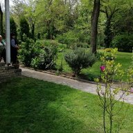 Cilivili60