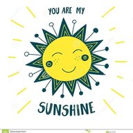 SunnySun