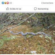 Karpenko