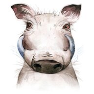 warthog