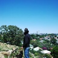 Bluedog84