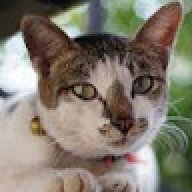 jeca011