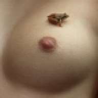 seXperience83