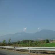 dandi 2