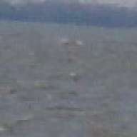 Dunav62