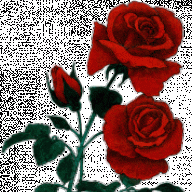 MAjchee_