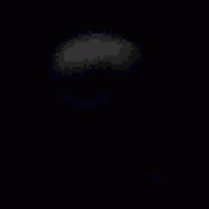Voldemortist