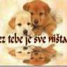 Razce